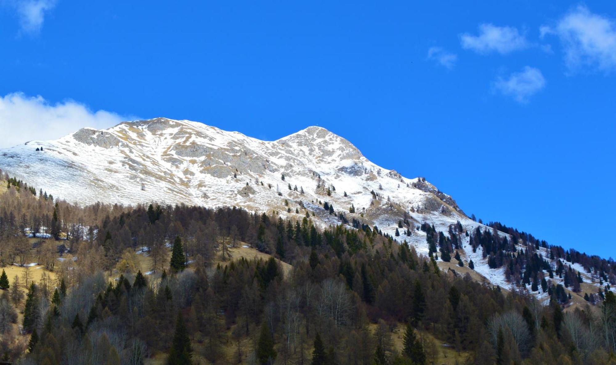 Hotel Stella Alpina Bellamonte Exteriér fotografie