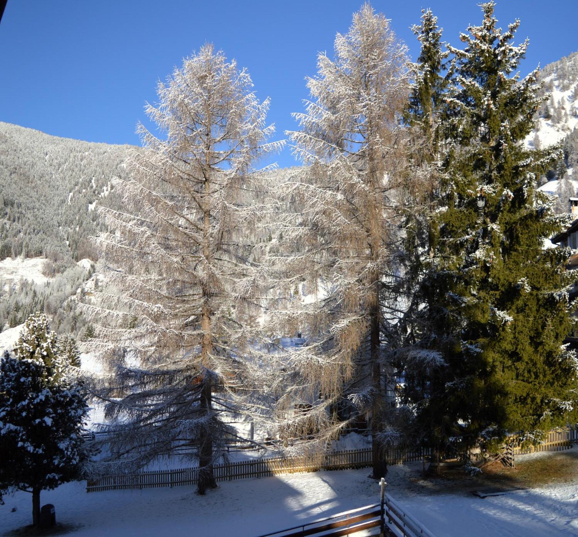 Hotel Stella Alpina Bellamonte Exteriér fotografie