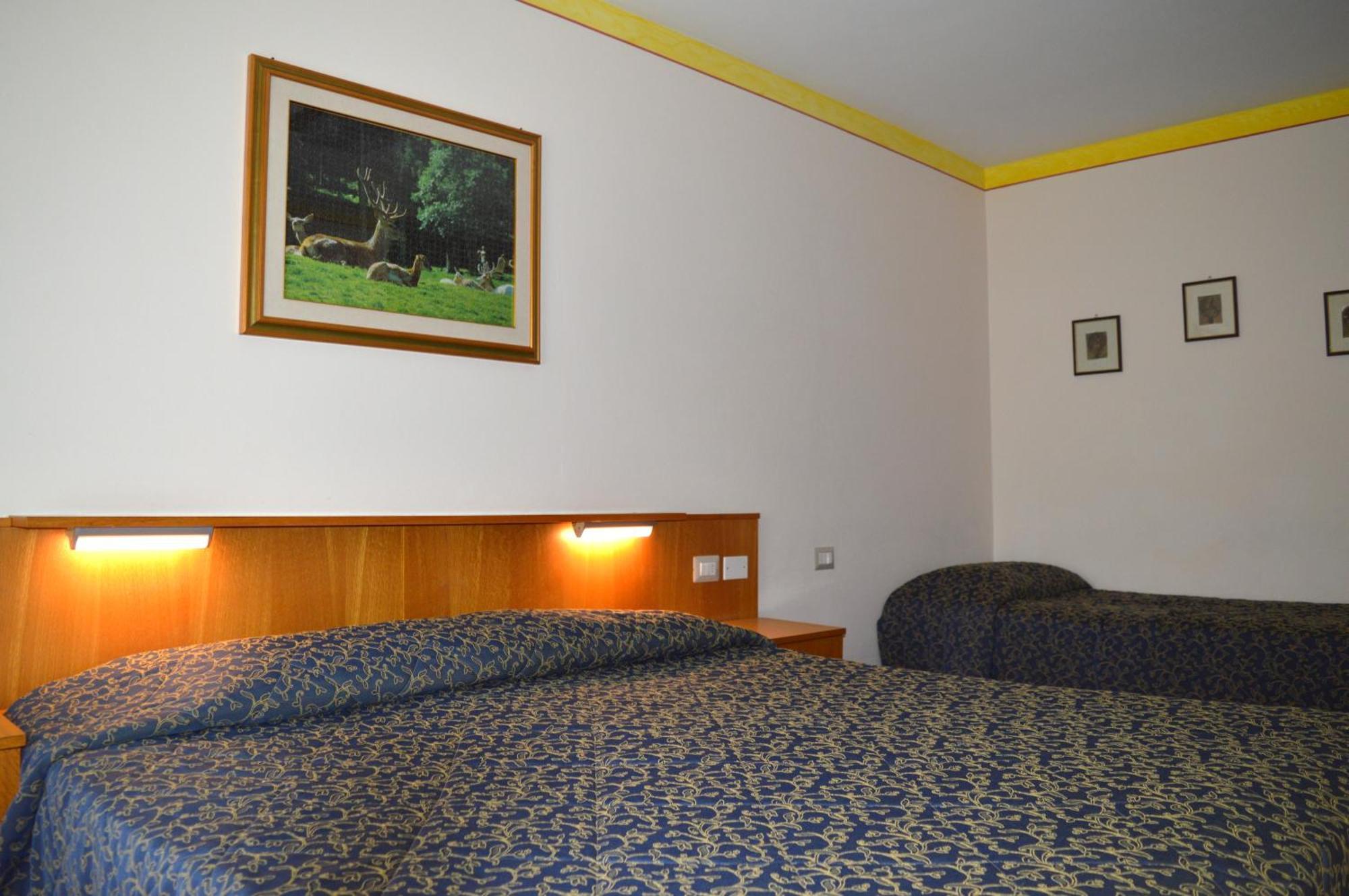 Hotel Stella Alpina Bellamonte Exteriér fotografie